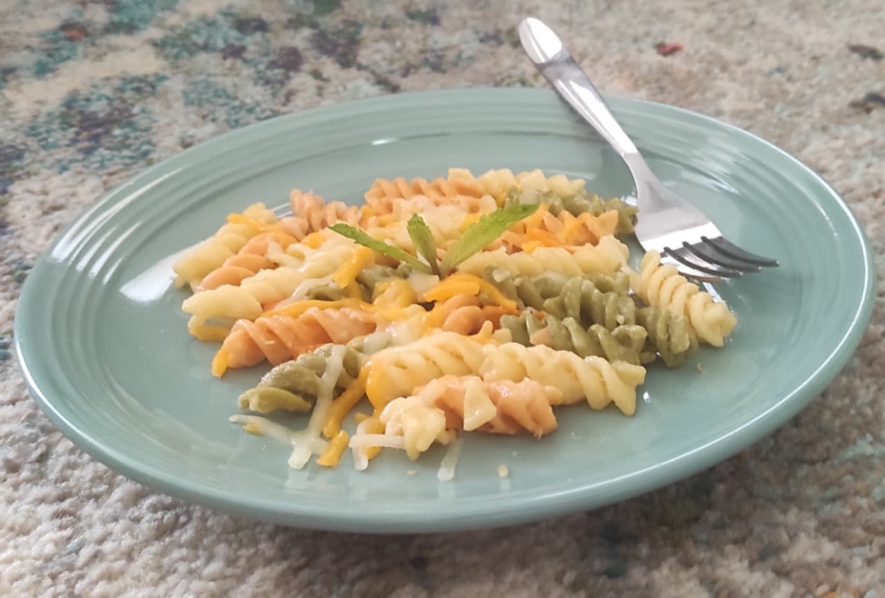 Tricolor cheese rotini
